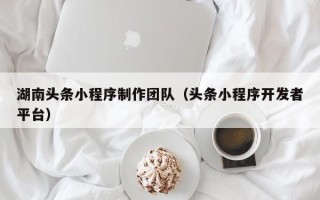 新乡湖南头条小程序制作团队（头条小程序开发者平台）