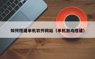 新乡如何搭建单机软件网站（单机游戏搭建）